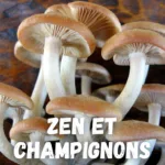 pratique du zen et soupe de champignons