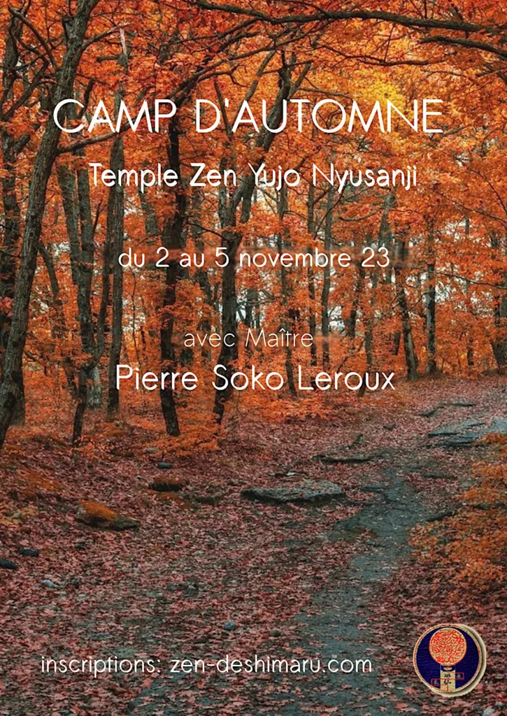 zazen débutant : la pureté de la première pratique selon maître deshimaru