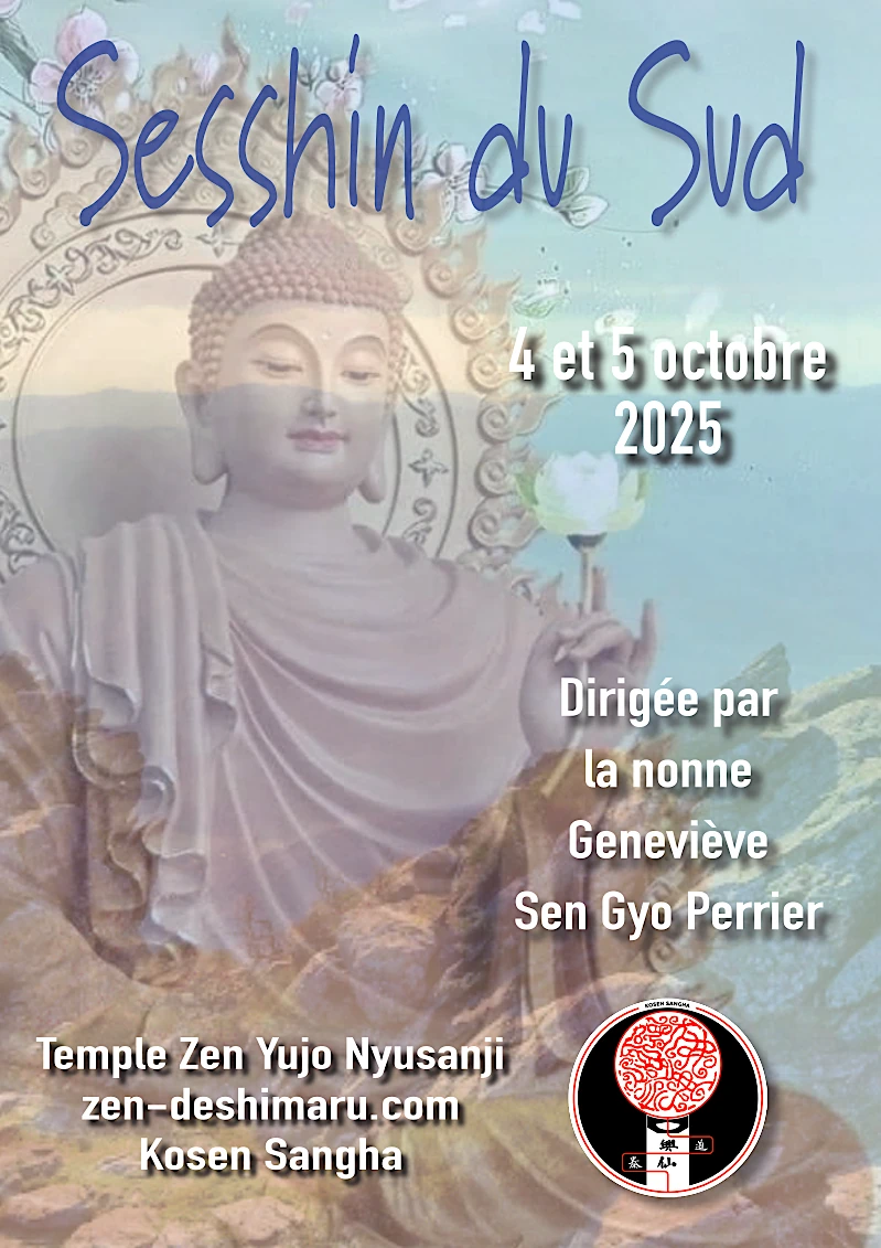 affiche sesshin du sud fr